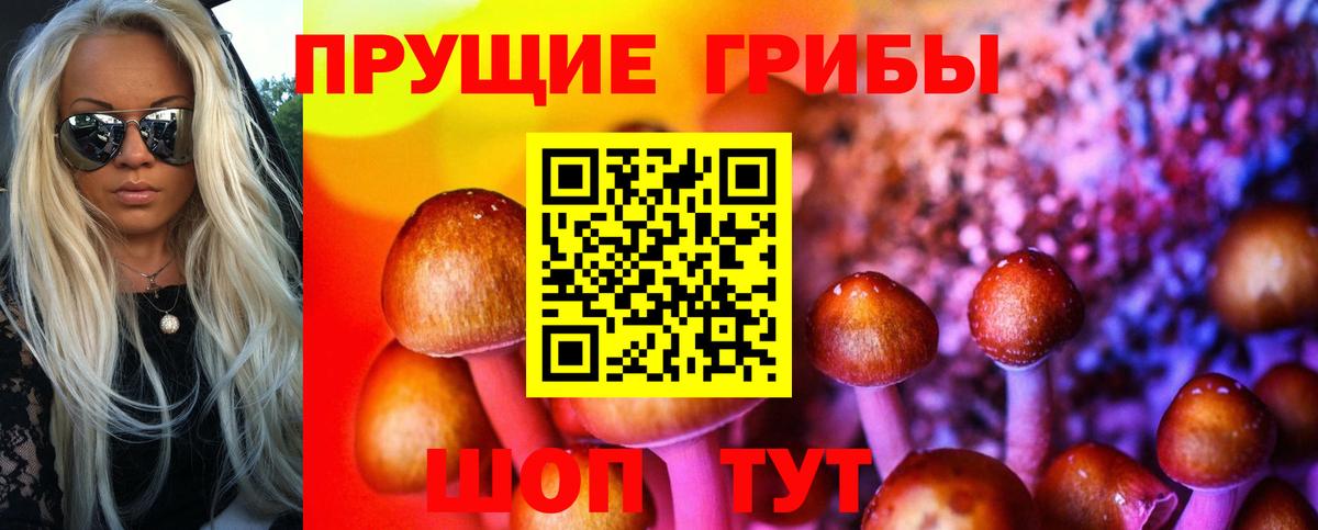 Галлюциногенные грибы ЛСД Сунжа