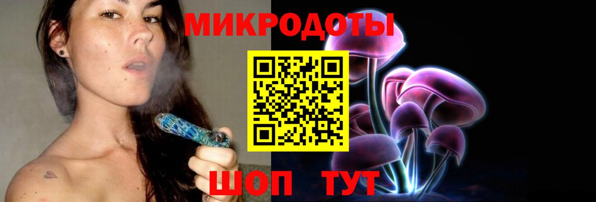 Сунжа  Галлюциногенные грибы мицелий  Псилоцибиновые грибы Psilocybe  Вход с VPN 