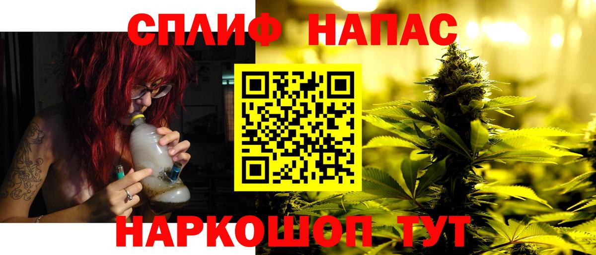 Канабис Bruce Banner  Конопля MAZAR  Сунжа  Вход с VPN 