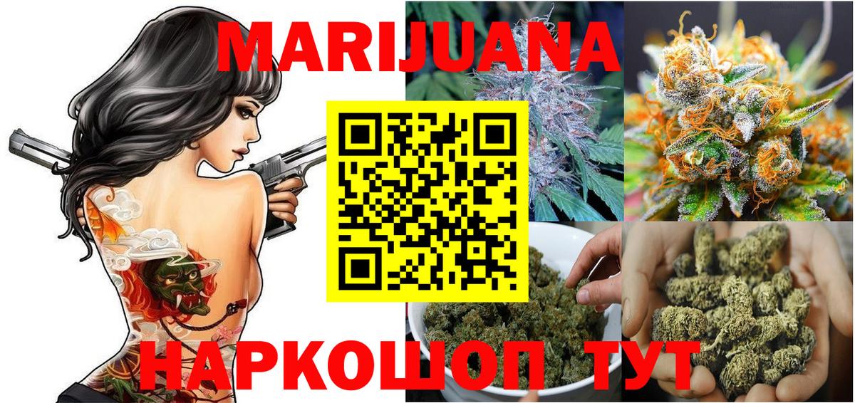 Конопля SATIVA & INDICA Сунжа